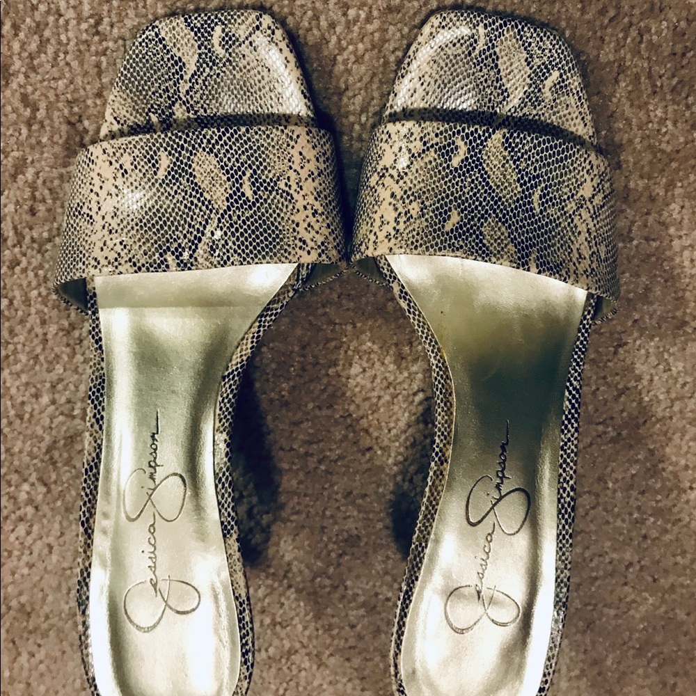 Snake skin slides